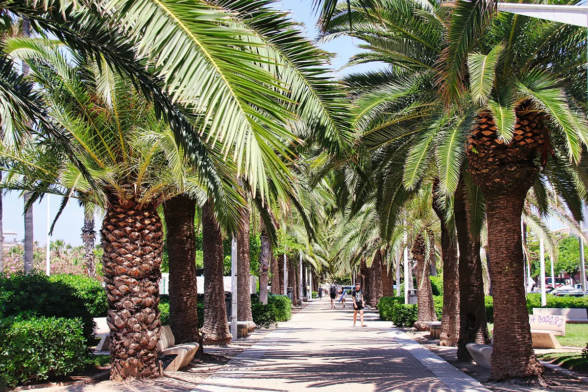 Coste de la vida en valencia